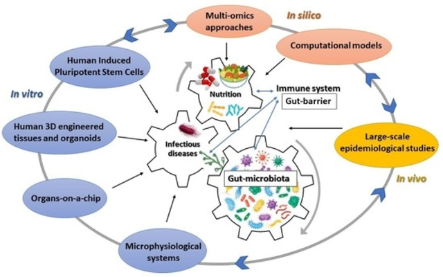 The Environmental Factors That Contribute to Amoeba Infections